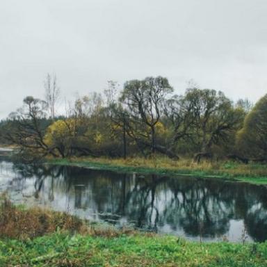 Усадьба Н.К. Рериха (с. Извара, Ленинградская обл.). Усадебный пруд.